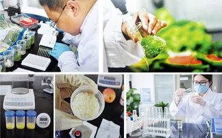 佛山餐飲企業的自有種植養殖基地 構筑食品衛生安全新防線